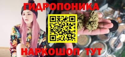 дмт Будённовск